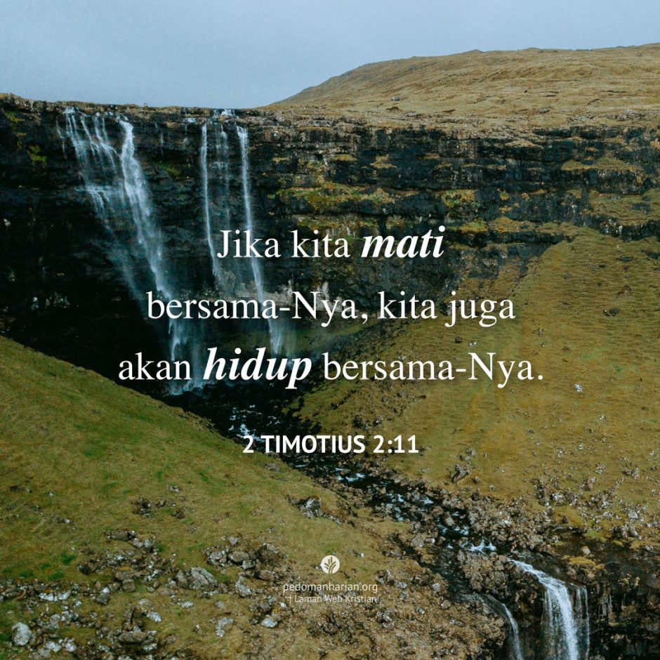 share_msodb_2025-11-18