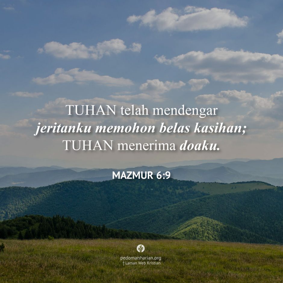 share_msodb_2025-11-19