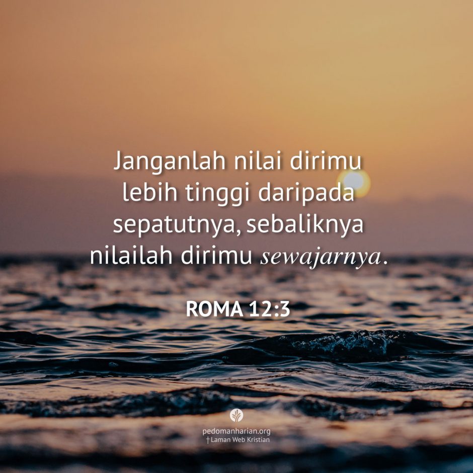 share_msodb_2025-11-20