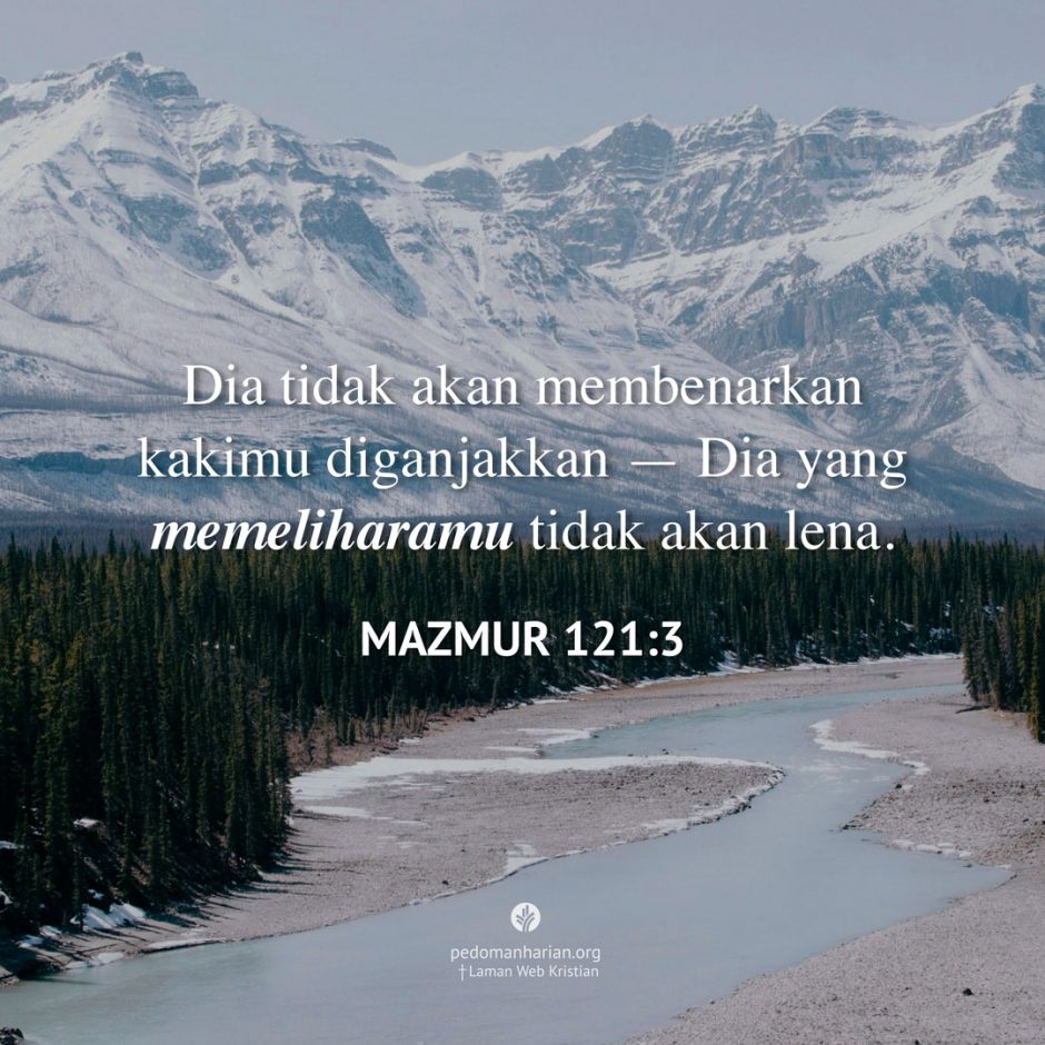 share_msodb_2025-11-21