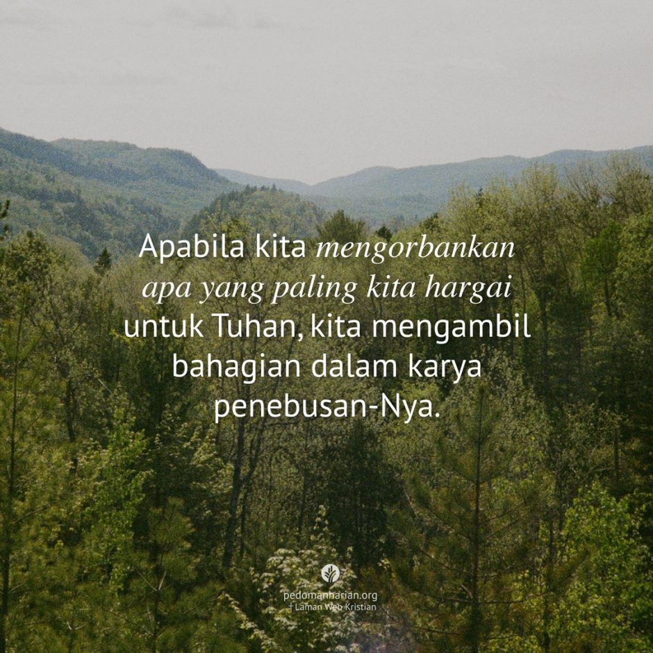 share_msodb_2025-11-22