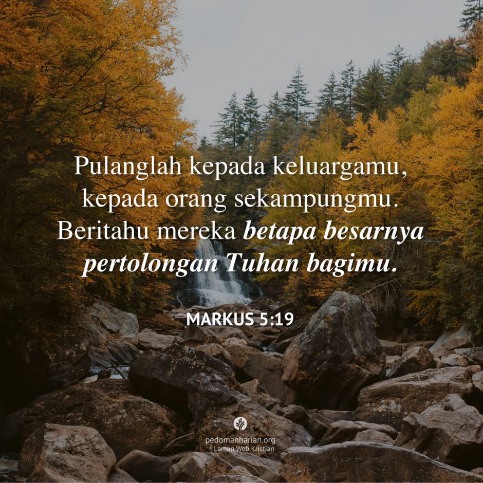 share_msodb_2025-11-23