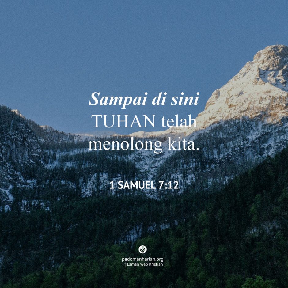 share_msodb_2025-11-25