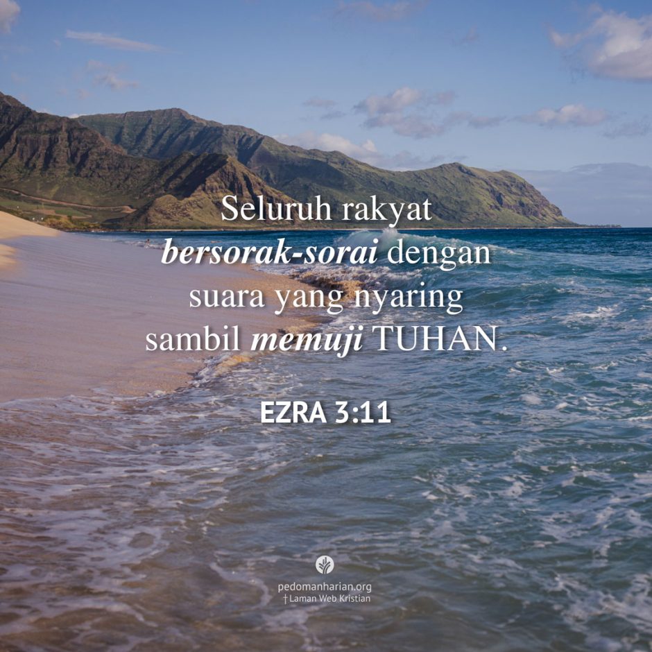 share_msodb_2025-11-26