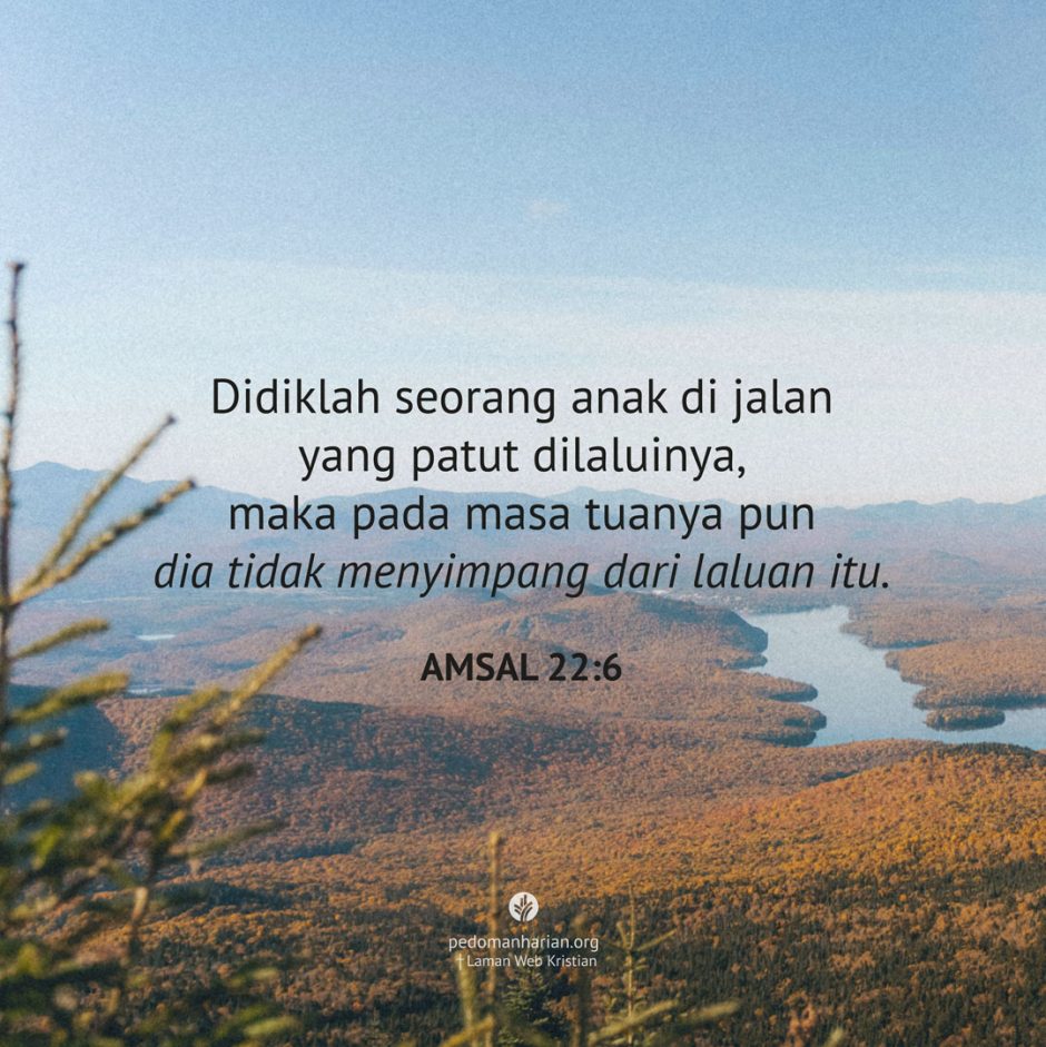 share_msodb_2025-11-27 share_msodb_2025-11-27