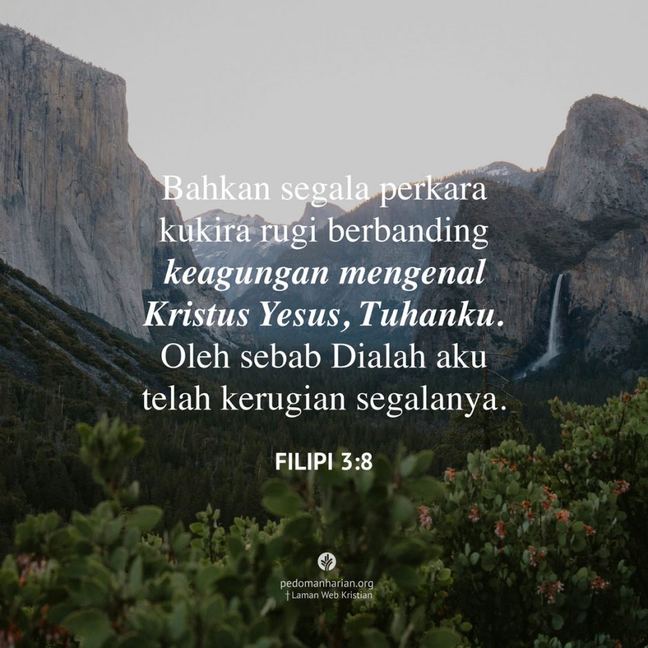 share_msodb_2025-11-28