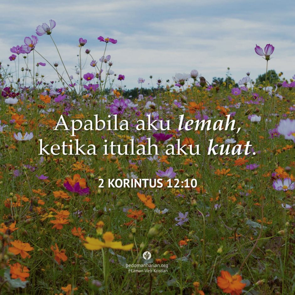 share_msodb_2025-11-29 share_msodb_2025-11-29