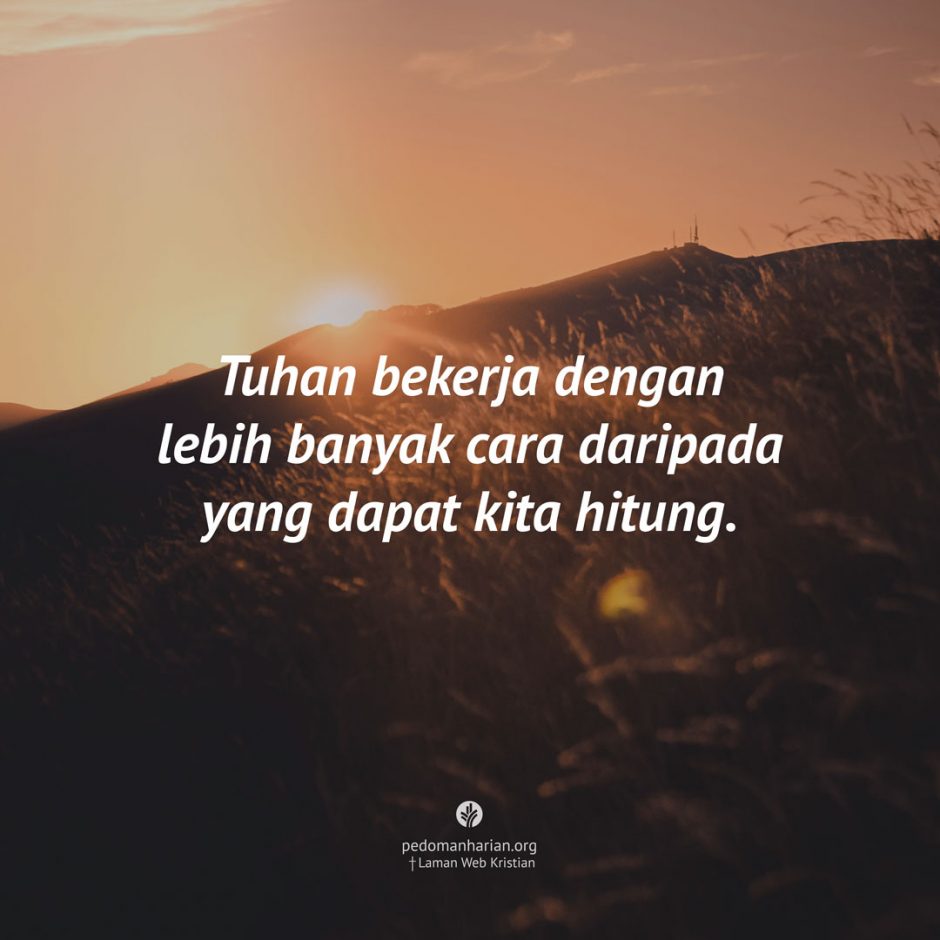 share_msodb_2025-11-30 share_msodb_2025-11-30