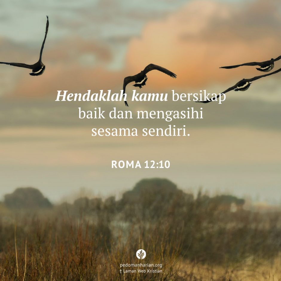 share_msodb_2025-12-01