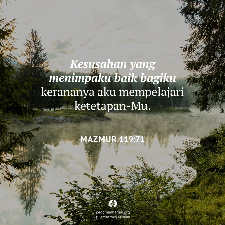 share_msodb_2025-12-03 share_msodb_2025-12-03