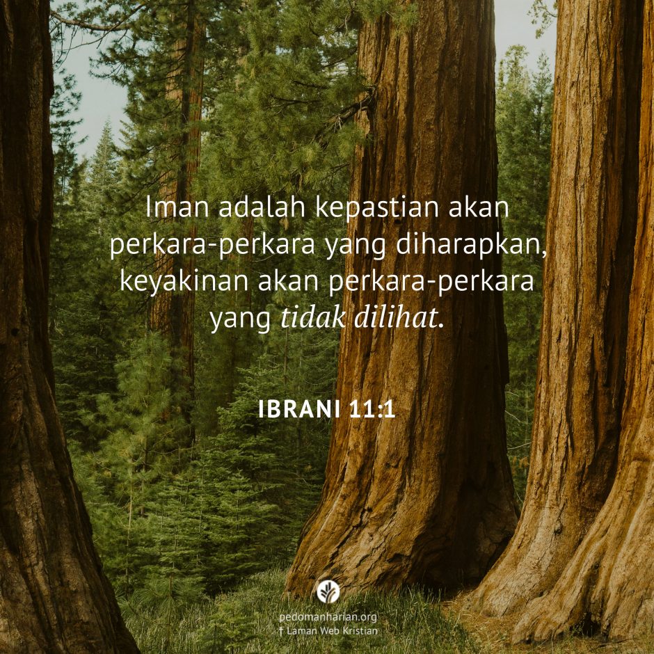 share_msodb_2025-12-04 share_msodb_2025-12-04