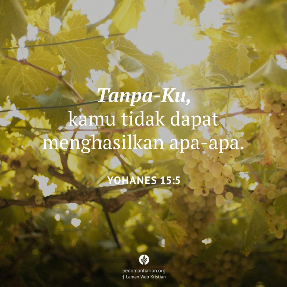 share_msodb_2025-12-31