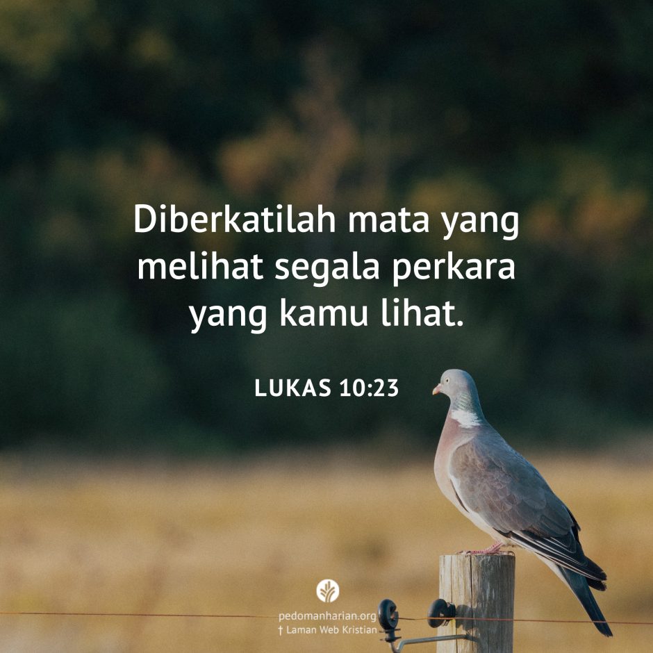 share_msodb_2025-12-26