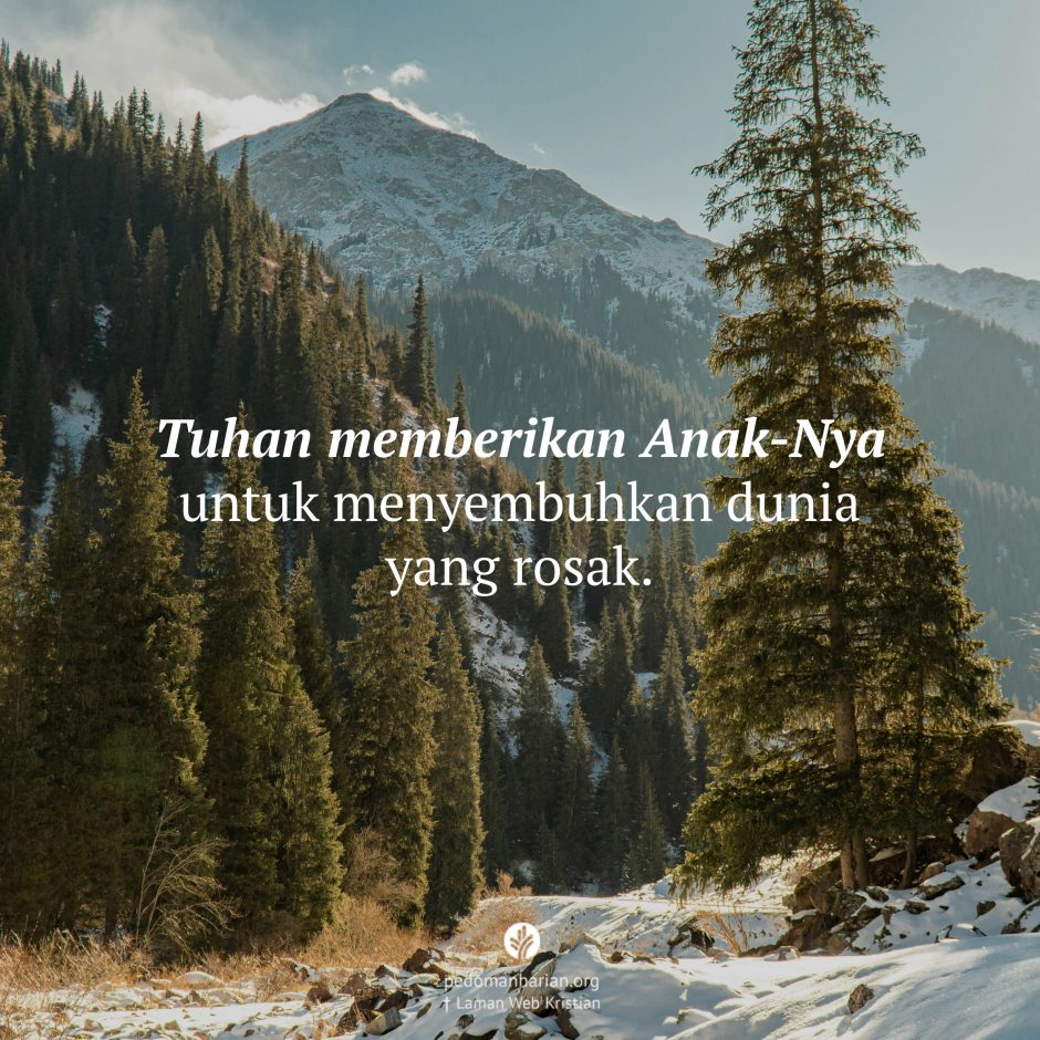 share_msodb_2025-12-25