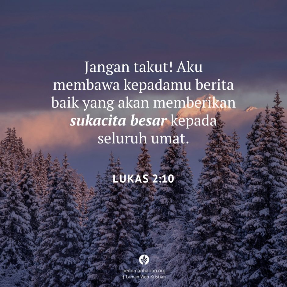 share_msodb_2025-12-24