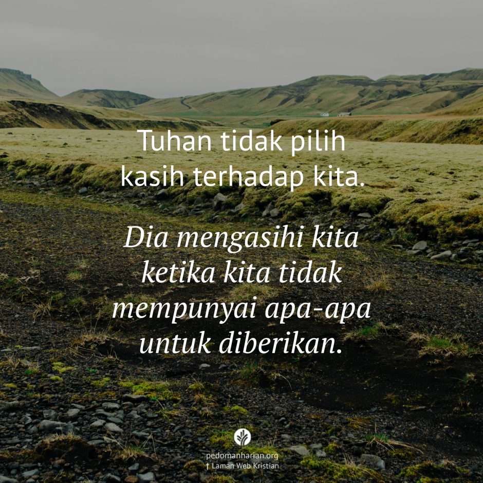 share_msodb_2025-12-23