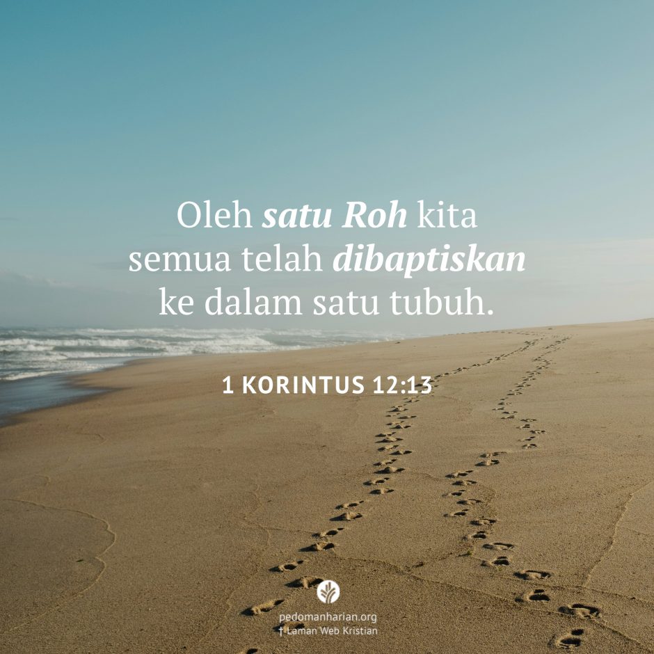 share_msodb_2025-12-22