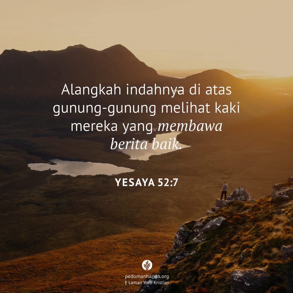 share_msodb_2025-12-21