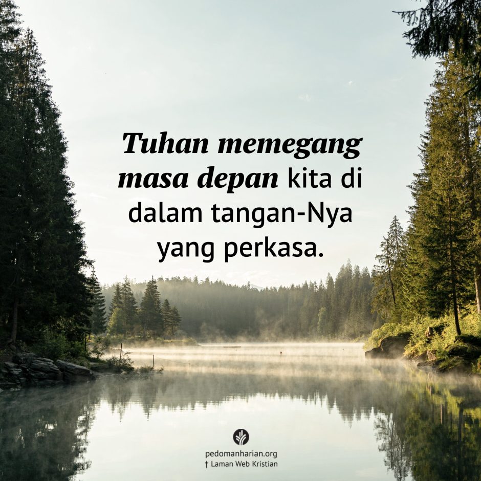 share_msodb_2025-12-19 share_msodb_2025-12-19