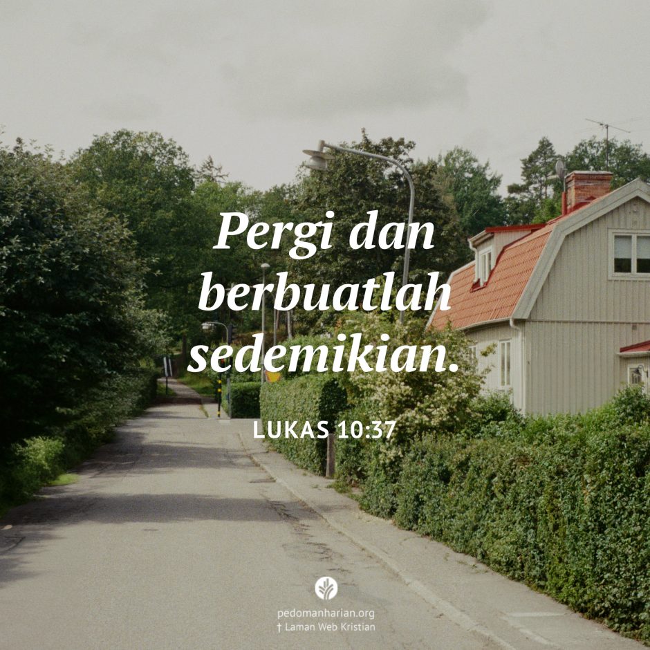 share_msodb_2025-12-16 share_msodb_2025-12-16