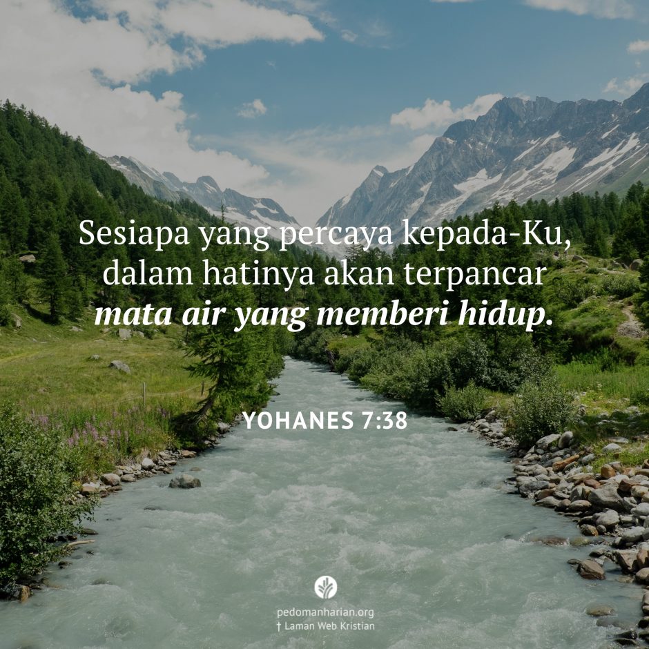 share_msodb_2025-12-14 share_msodb_2025-12-14