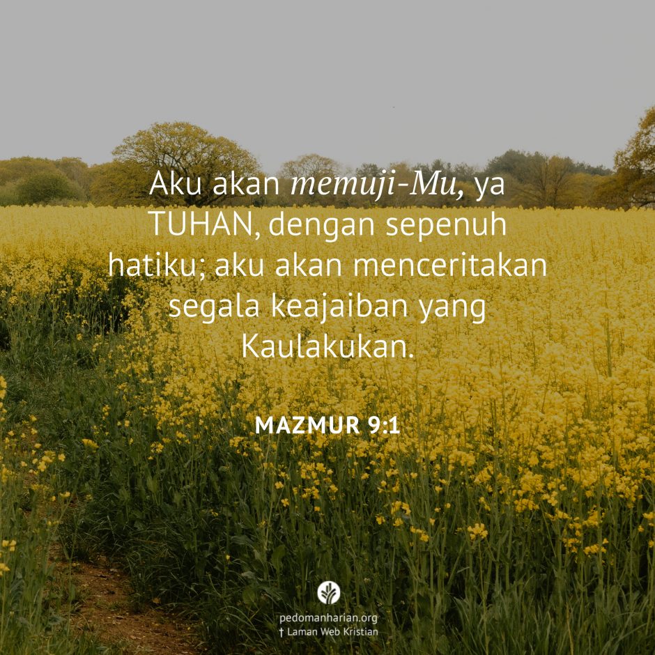 share_msodb_2025-12-12 share_msodb_2025-12-12