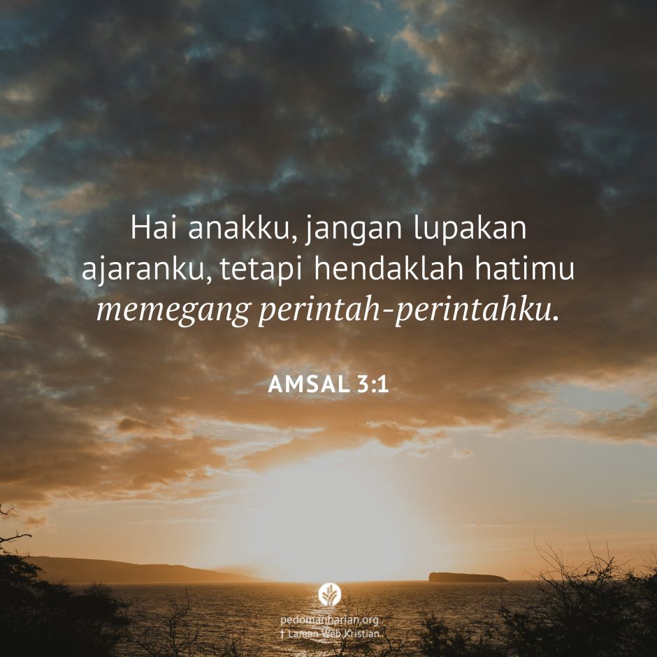 share_msodb_2025-12-10