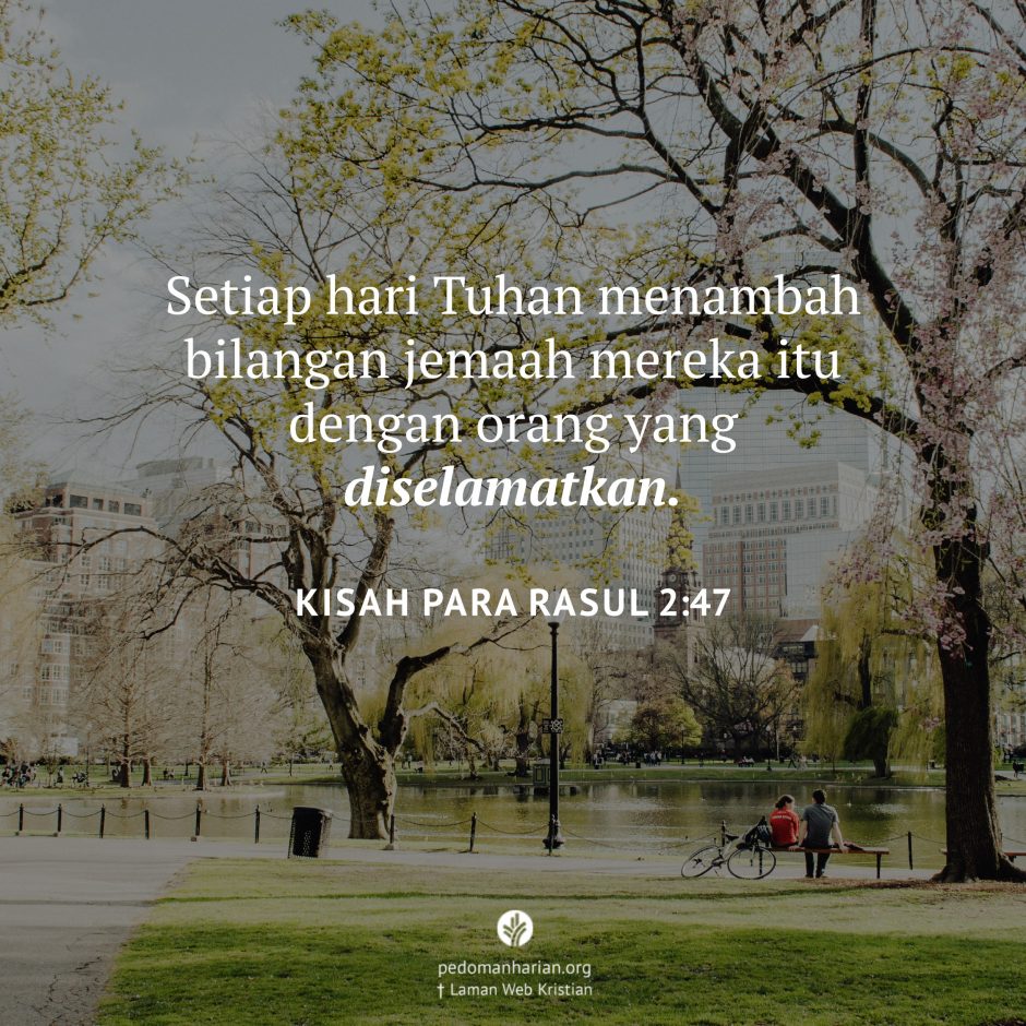 share_msodb_2025-12-09