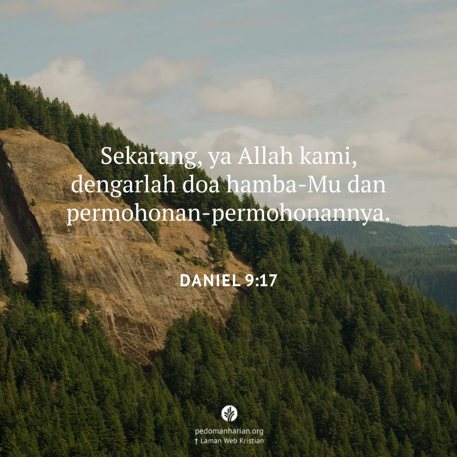 share_msodb_2025-12-07