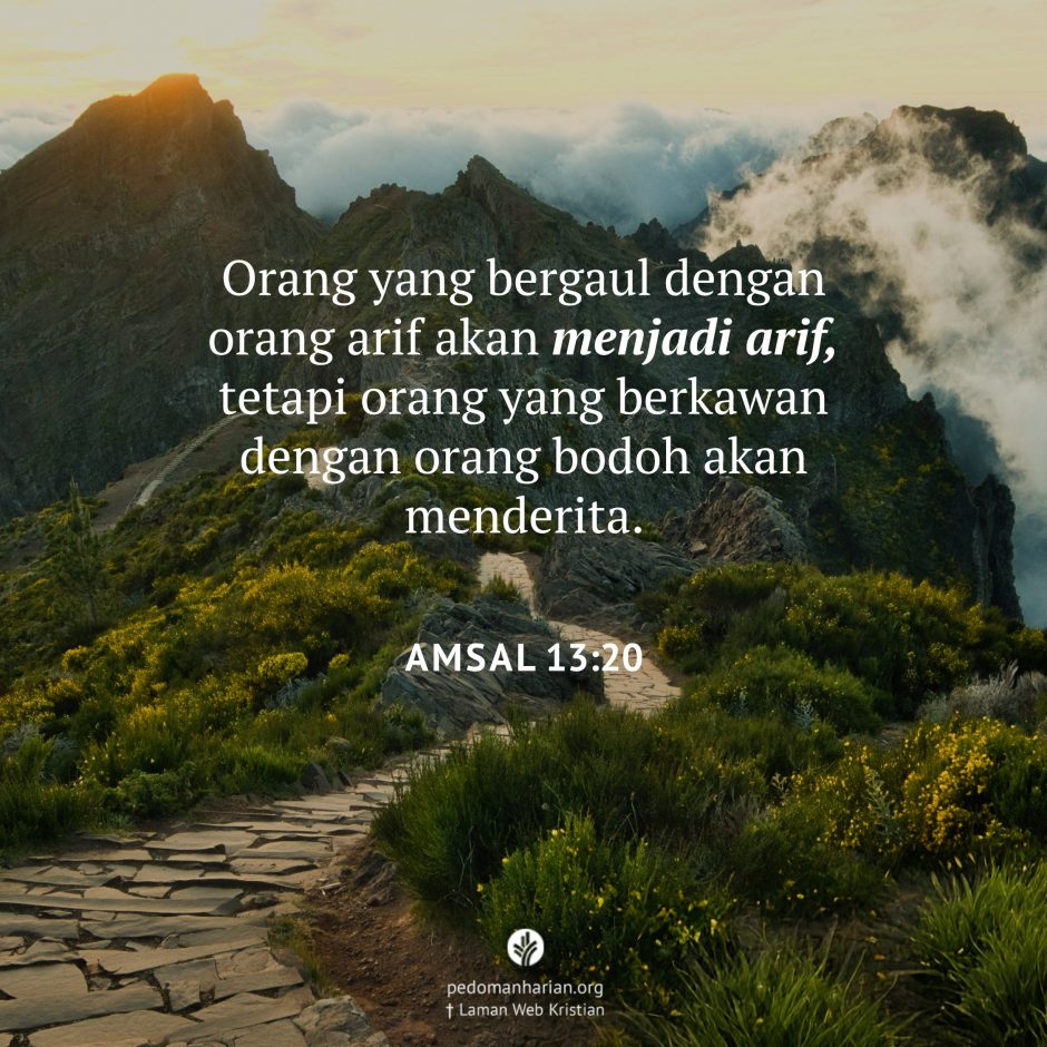 share_msodb_2025-12-05 share_msodb_2025-12-05