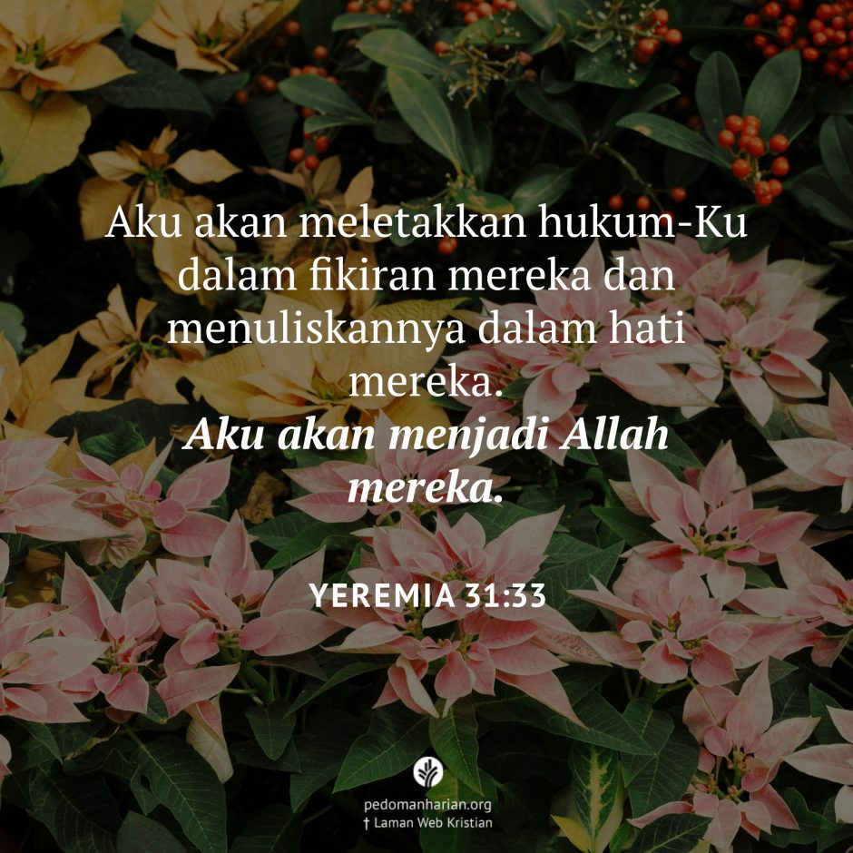 share_msodb_2025-12-28