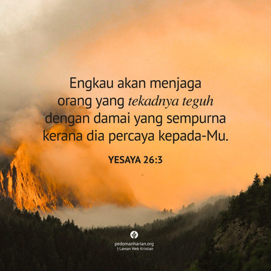 share_msodb_2026-01-31