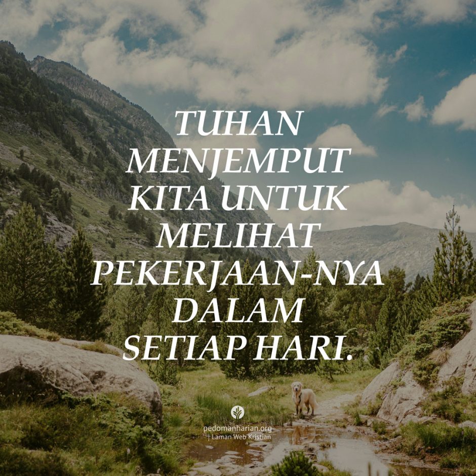 share_msodb_2026-01-30 share_msodb_2026-01-30