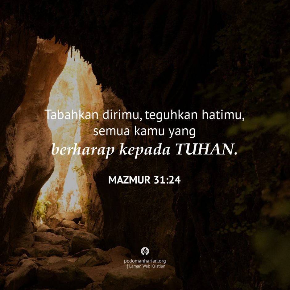 share_msodb_2026-01-27