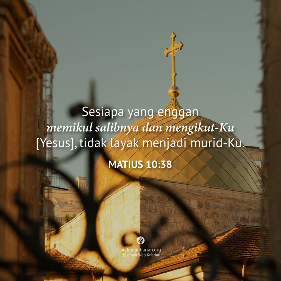 share_msodb_2026-01-17