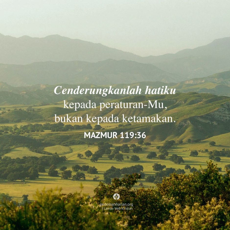 share_msodb_2026-01-16 share_msodb_2026-01-16