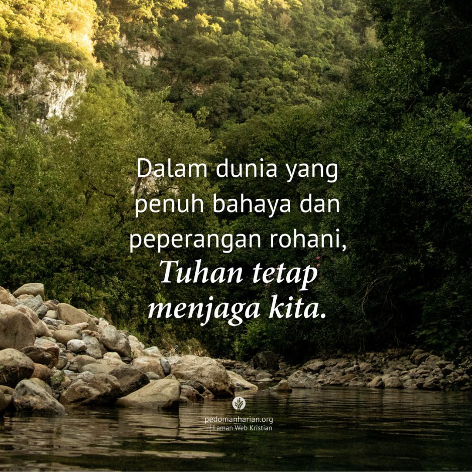 share_msodb_2026-01-15