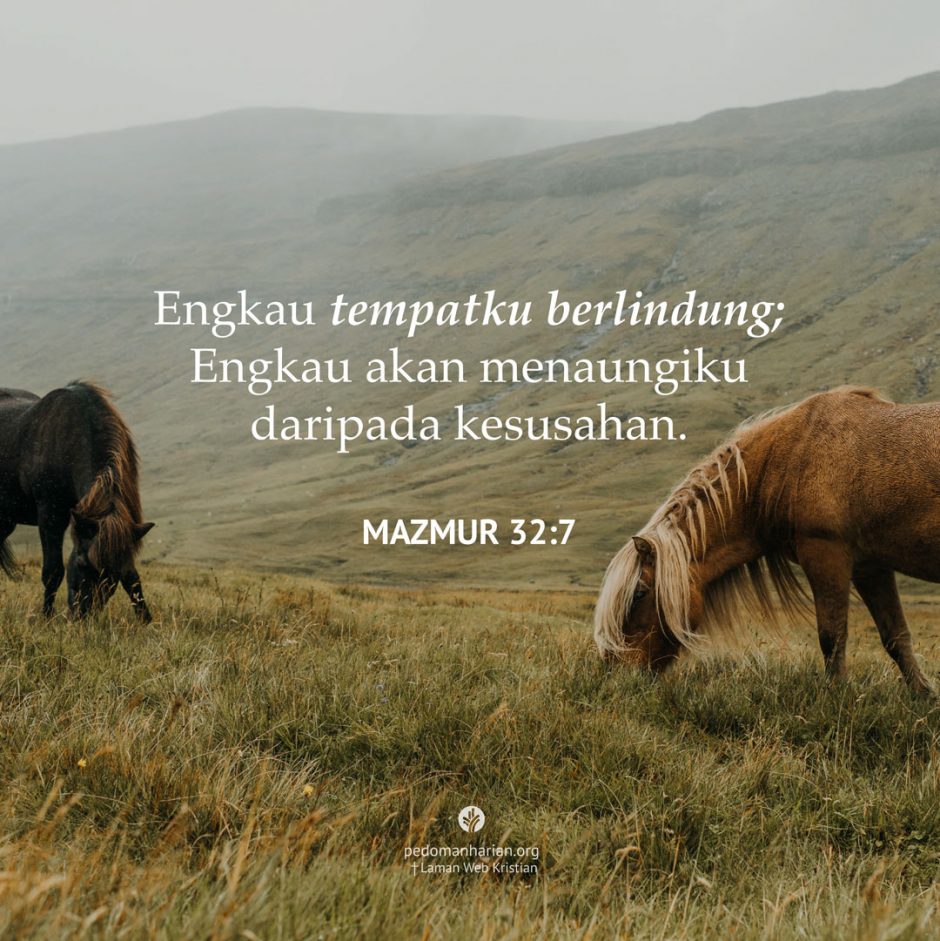 share_msodb_2026-01-12