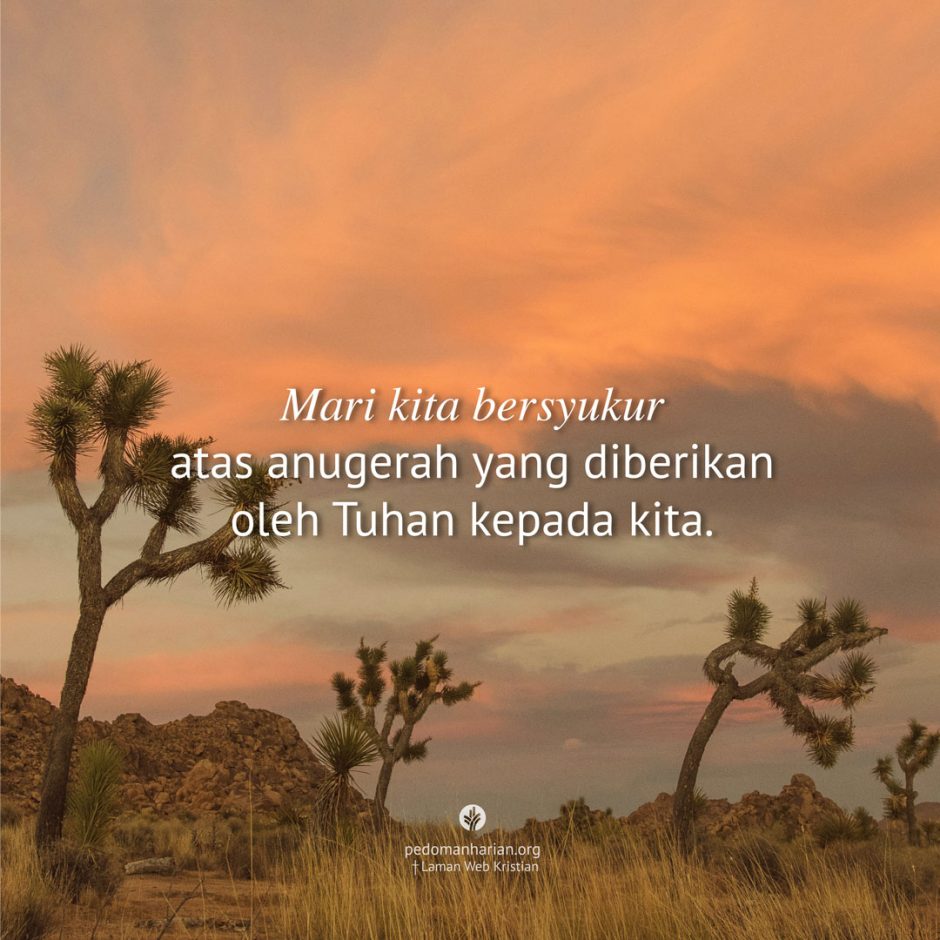 share_msodb_2026-01-11