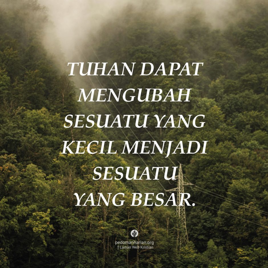 share_msodb_2026-01-08