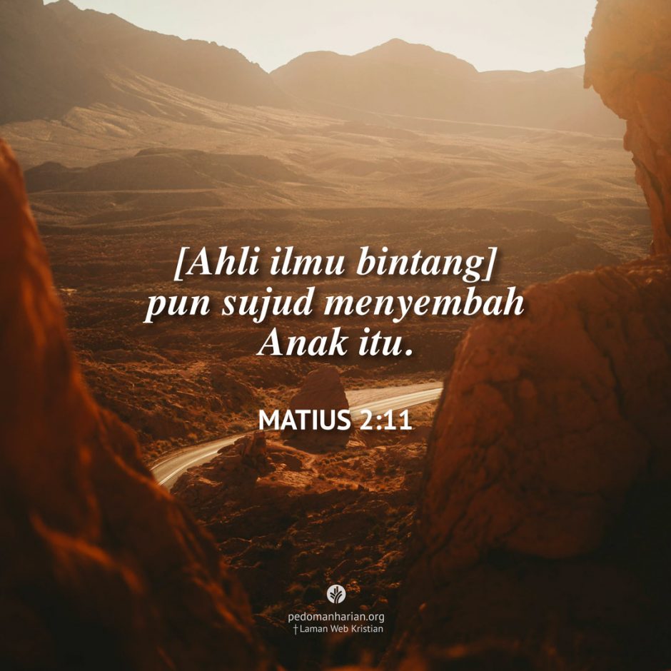 share_msodb_2026-01-06