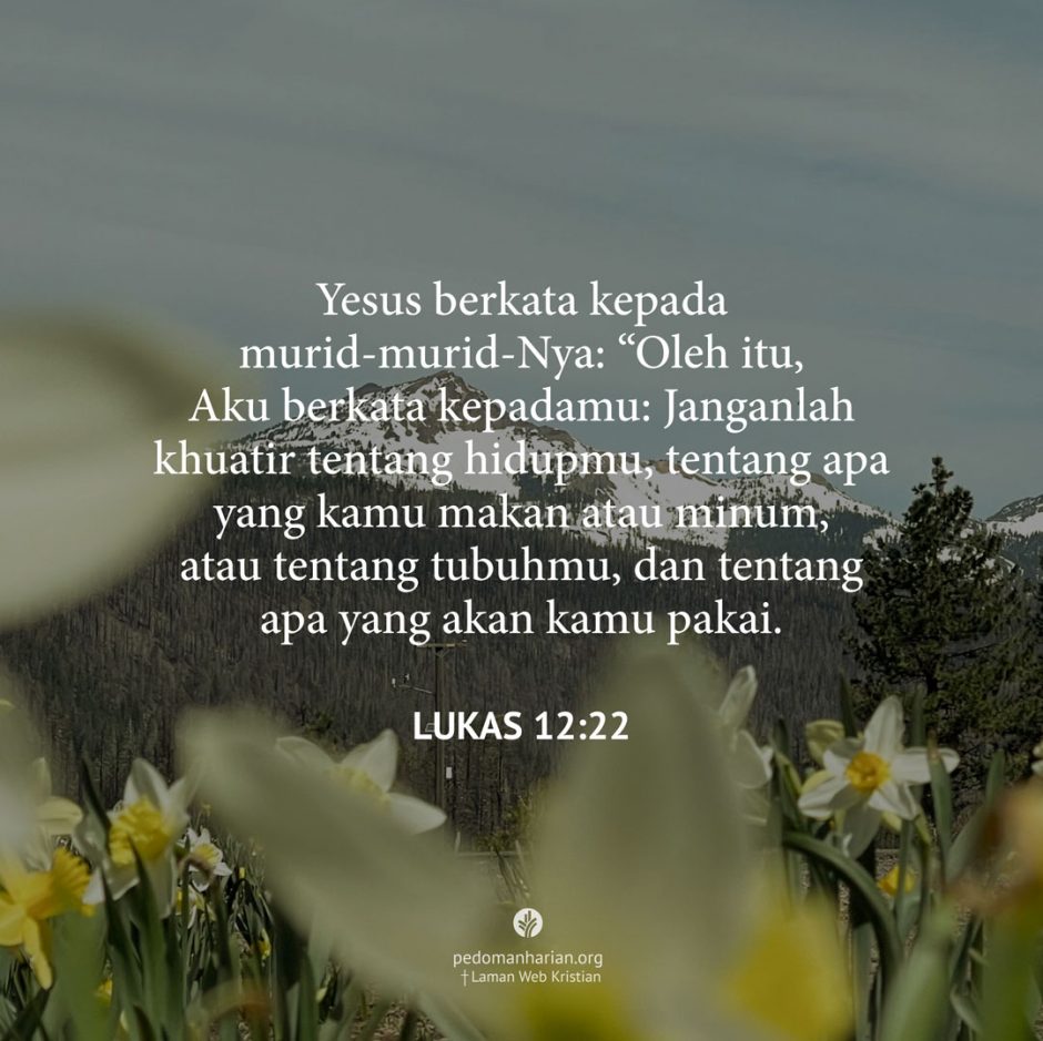 share_msodb_2026-01-04