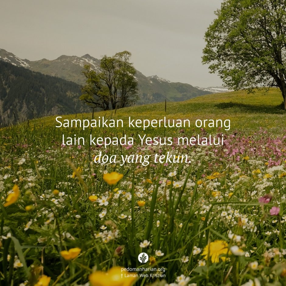 share_msodb_2026-02-28 share_msodb_2026-02-28