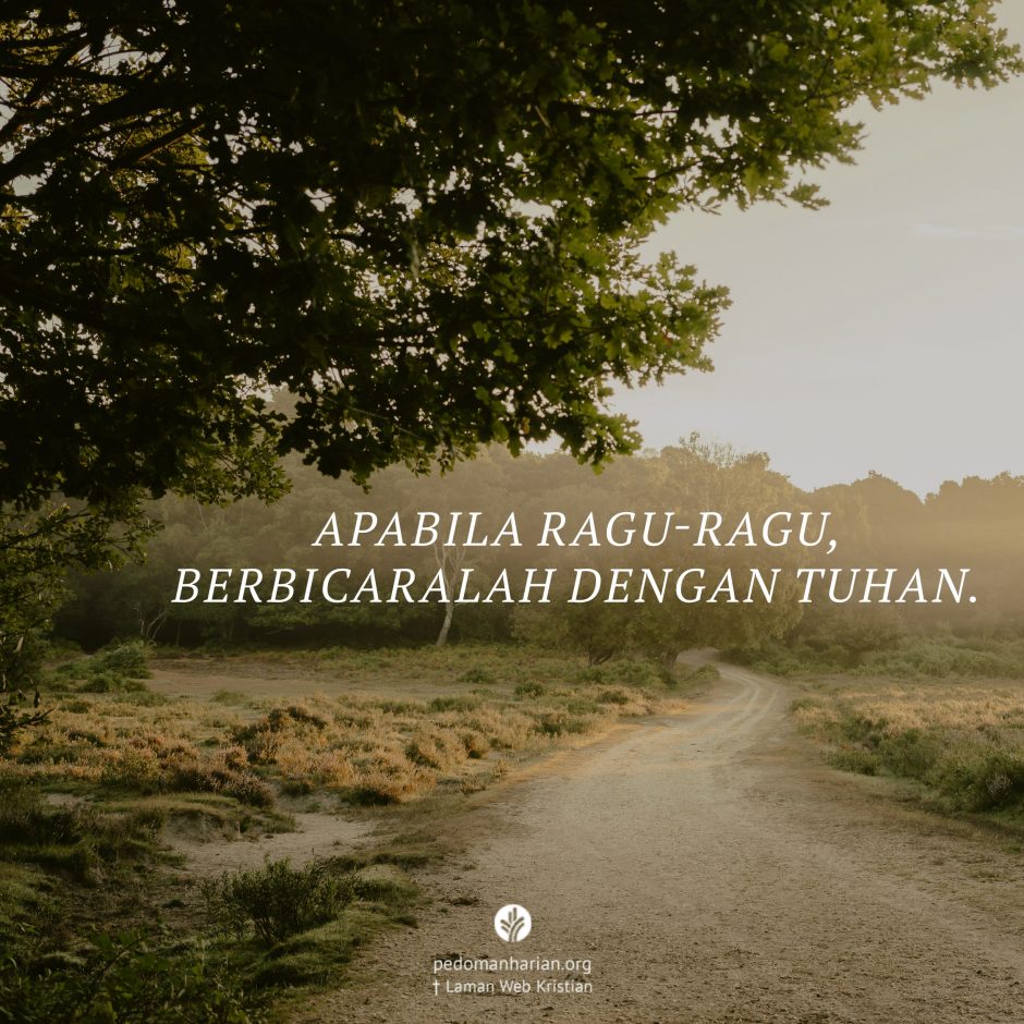 share_msodb_2026-02-27