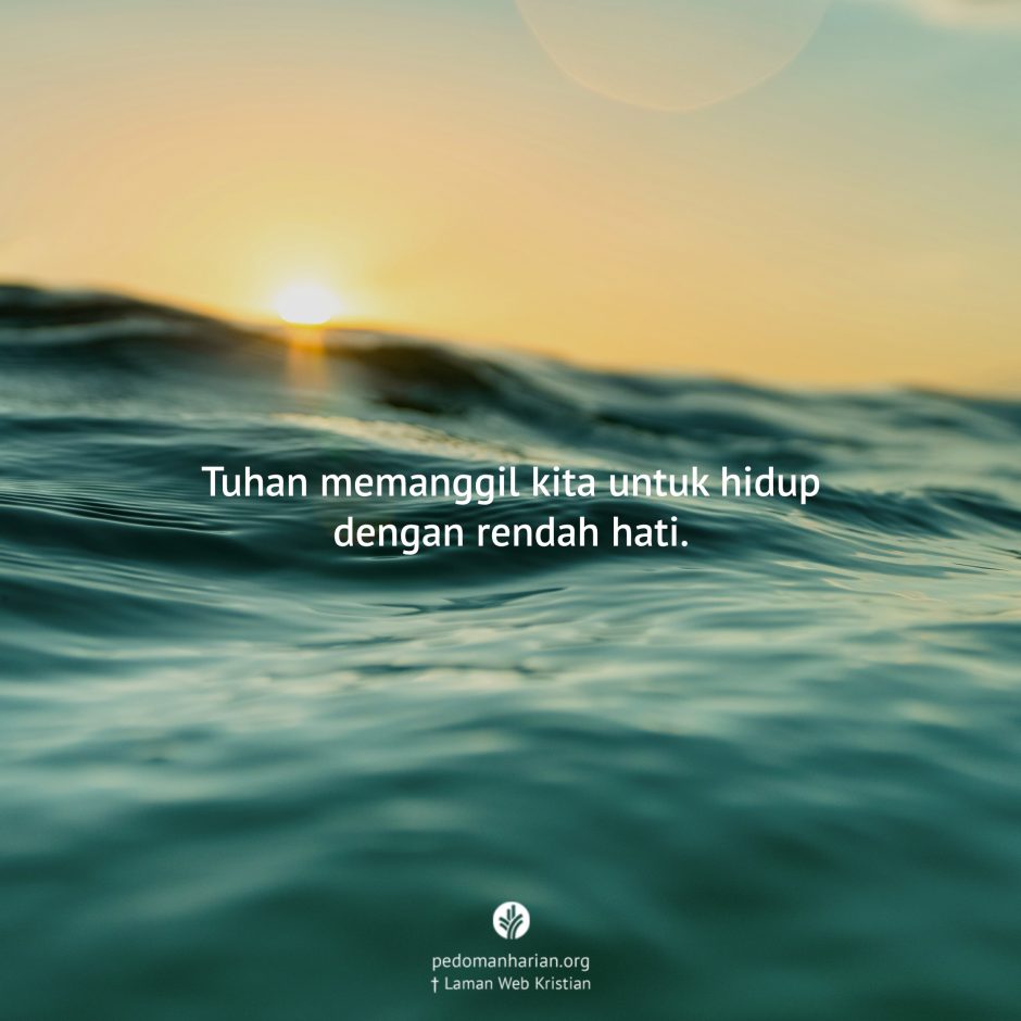 share_msodb_2026-02-23