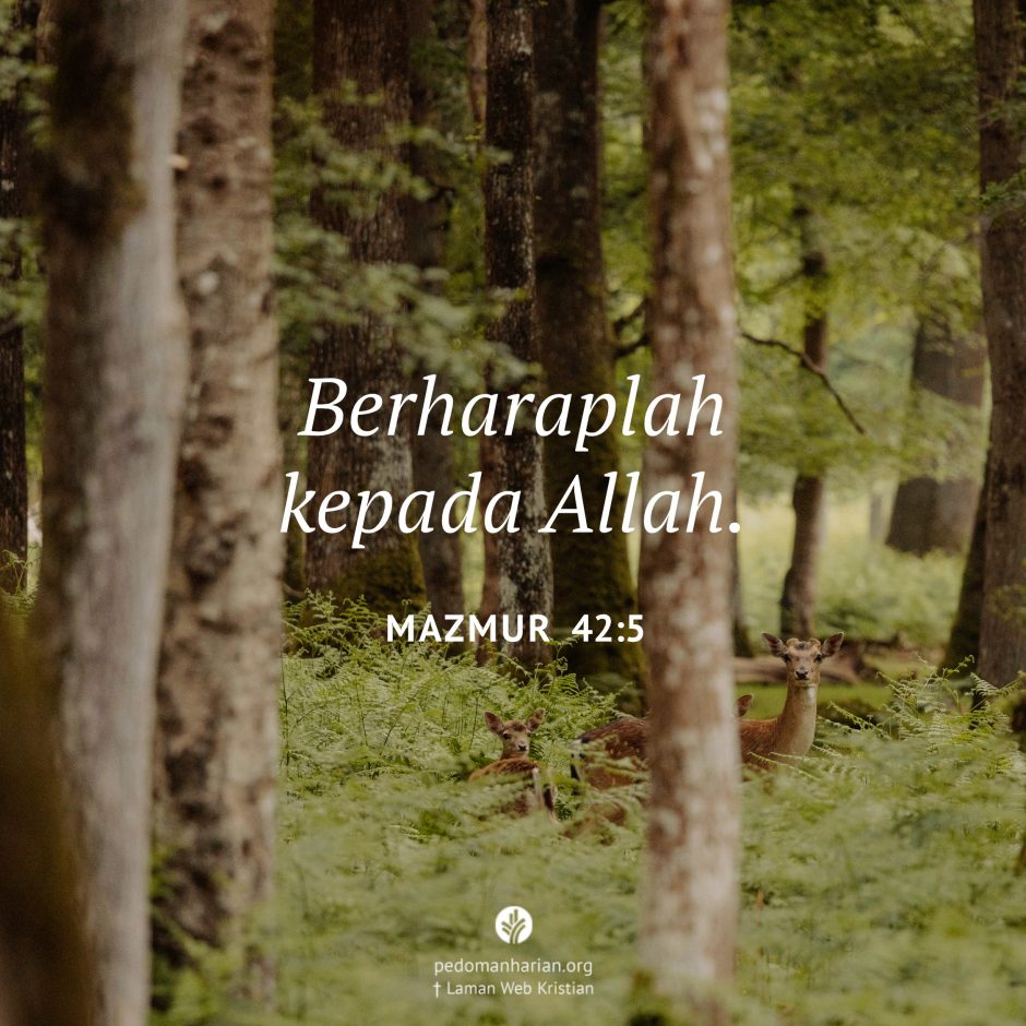 share_msodb_2026-02-21 share_msodb_2026-02-21