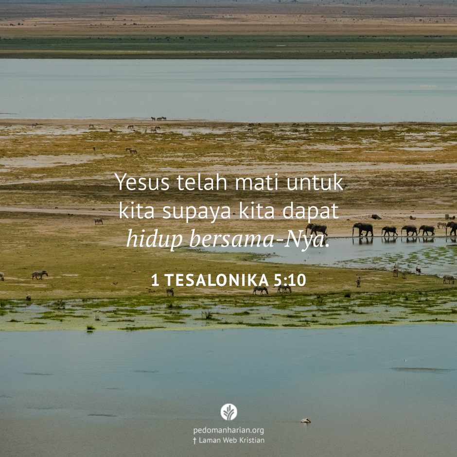 share_msodb_2026-02-20 share_msodb_2026-02-20