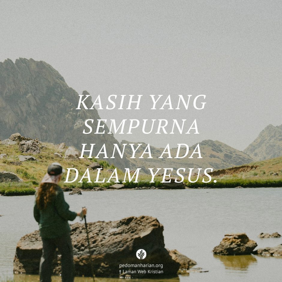 share_msodb_2026-02-19 share_msodb_2026-02-19