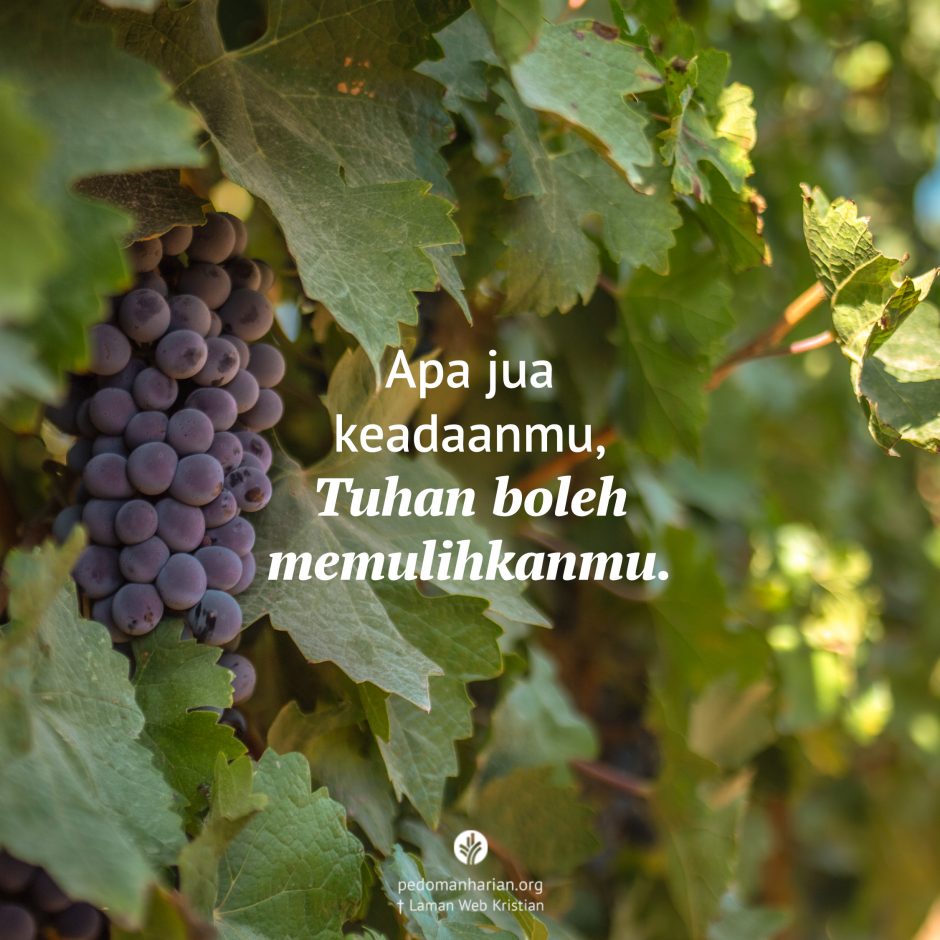 share_msodb_2026-02-18