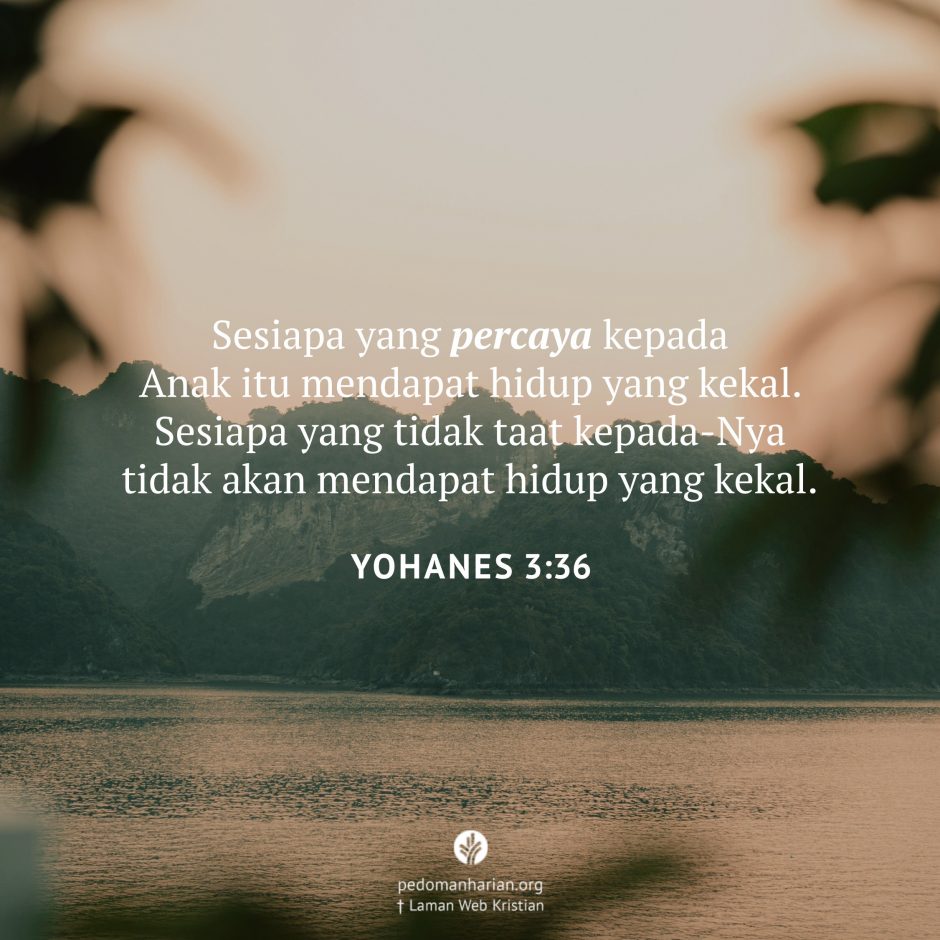 share_msodb_2026-02-17